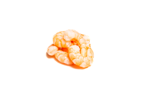 Shrimps