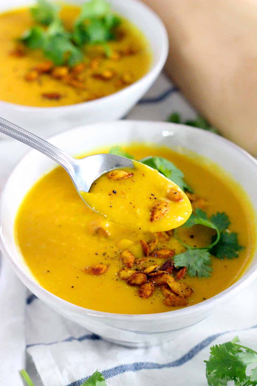 Velvet Turmeric Ginger Bisque with Reishi Elixir - anti inflammatory NutraSoup for endometriosis support